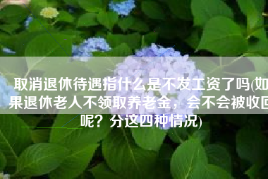 取消退休待遇指什么是不发工资了吗(如果退休老人不领取养老金，会不会被收回呢？分这四种情况)
