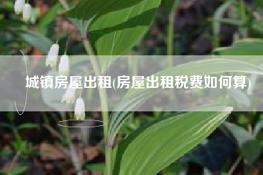 城镇房屋出租(房屋出租税费如何算)