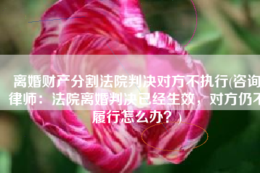 离婚财产分割法院判决对方不执行(咨询律师：法院离婚判决已经生效，对方仍不履行怎么办？)