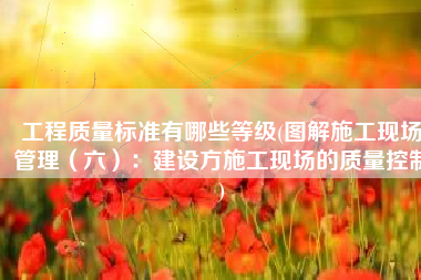 工程质量标准有哪些等级(图解施工现场管理（六）：建设方施工现场的质量控制)