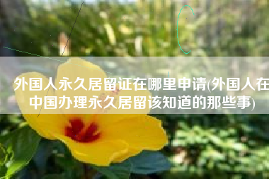 外国人永久居留证在哪里申请(外国人在中国办理永久居留该知道的那些事)