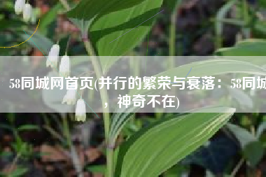 58同城网首页(并行的繁荣与衰落：58同城，神奇不在)
