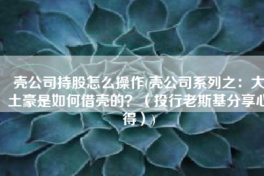 壳公司持股怎么操作(壳公司系列之：大土豪是如何借壳的？（投行老斯基分享心得）)