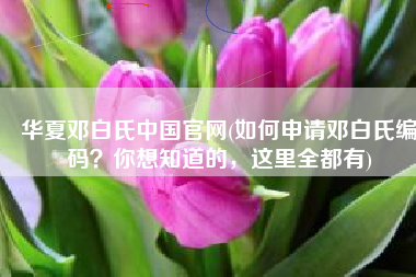 华夏邓白氏中国官网(如何申请邓白氏编码？你想知道的，这里全都有)