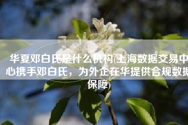 华夏邓白氏是什么机构(上海数据交易中心携手邓白氏，为外企在华提供合规数据保障)