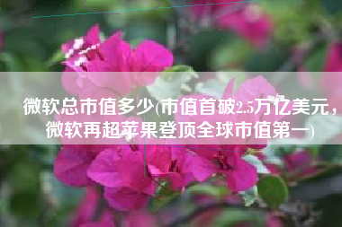 微软总市值多少(市值首破2.5万亿美元，微软再超苹果登顶全球市值第一)