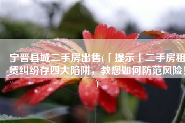 宁晋县城二手房出售(「提示」二手房租赁纠纷存四大陷阱，教您如何防范风险！)
