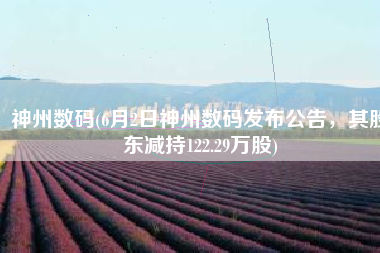 神州数码(6月2日神州数码发布公告，其股东减持122.29万股)