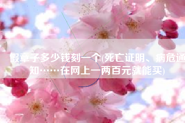 假章子多少钱刻一个(死亡证明、病危通知……在网上一两百元就能买)
