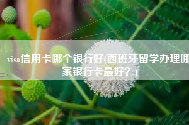 visa信用卡哪个银行好(西班牙留学办理哪家银行卡最好？)