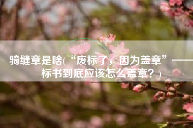 骑缝章是啥(“废标了，因为盖章”——标书到底应该怎么盖章？)