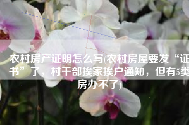 农村房产证明怎么写(农村房屋要发“证书”了，村干部挨家挨户通知，但有5类房办不了)