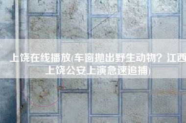 上饶在线播放(车窗抛出野生动物？江西上饶公安上演急速追捕)