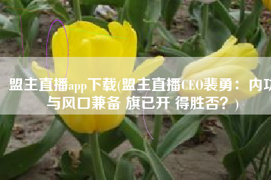 盟主直播app下载(盟主直播CEO裴勇：内功与风口兼备 旗已开 得胜否？)