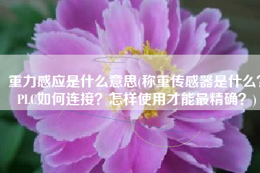 重力感应是什么意思(称重传感器是什么？PLC如何连接？怎样使用才能最精确？)