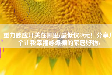 重力感应开关在哪里(最低仅39元！分享几个让我幸福感爆棚的家居好物)