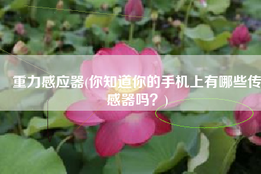 重力感应器(你知道你的手机上有哪些传感器吗？)