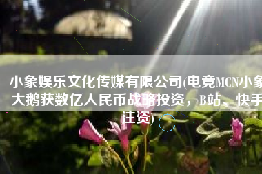 小象娱乐文化传媒有限公司(电竞MCN小象大鹅获数亿人民币战略投资，B站、快手注资)