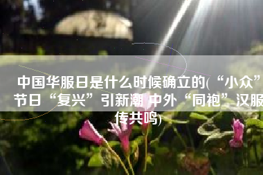 中国华服日是什么时候确立的(“小众”节日“复兴”引新潮 中外“同袍”汉服传共鸣)