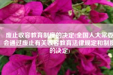 废止收容教育制度的决定(全国人大常委会通过废止有关收容教育法律规定和制度的决定)