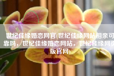 世纪佳缘婚恋网官(世纪佳缘网站相亲可靠吗，世纪佳缘婚恋网站，世纪佳缘网页版官网)