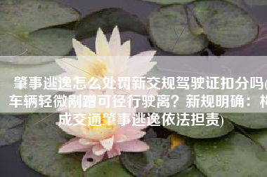 肇事逃逸怎么处罚新交规驾驶证扣分吗(车辆轻微剐蹭可径行驶离？新规明确：构成交通肇事逃逸依法担责)