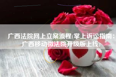 广西法院网上立案流程(掌上诉讼指南：广西移动微法院升级版上线)