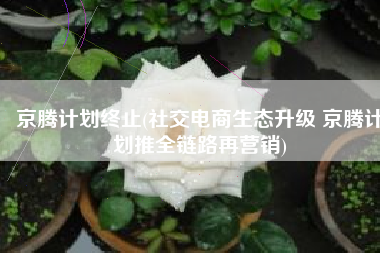 京腾计划终止(社交电商生态升级 京腾计划推全链路再营销)