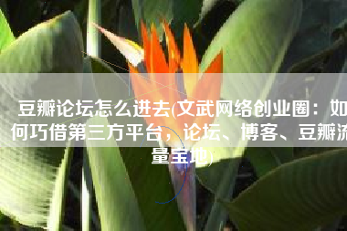豆瓣论坛怎么进去(文武网络创业圈：如何巧借第三方平台，论坛、博客、豆瓣流量宝地)