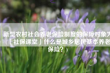 新型农村社会养老保险制度的保障对象为(「社保课堂」什么是城乡居民基本养老保险？)