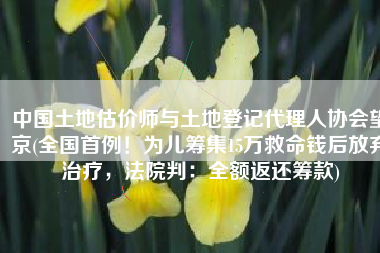 中国土地估价师与土地登记代理人协会望京(全国首例！为儿筹集15万救命钱后放弃治疗，法院判：全额返还筹款)