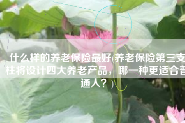 什么样的养老保险最好(养老保险第三支柱将设计四大养老产品，哪一种更适合普通人？)