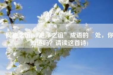 同袍之谊(“袍泽之谊”成语的岀处，你知道吗？请读这首诗)