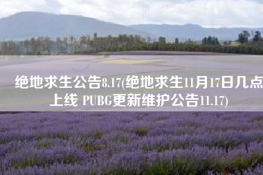 绝地求生公告8.17(绝地求生11月17日几点上线 PUBG更新维护公告11.17)