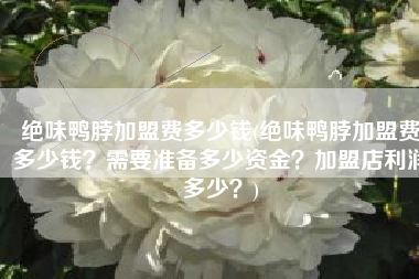 绝味鸭脖加盟费多少钱(绝味鸭脖加盟费多少钱？需要准备多少资金？加盟店利润多少？)
