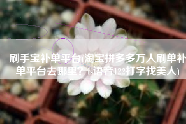 刷手宝补单平台(淘宝拼多多万人刷单补单平台去哪里？is语音122打字找美人)