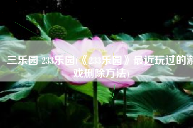 三乐园 233乐园(《233乐园》最近玩过的游戏删除方法)