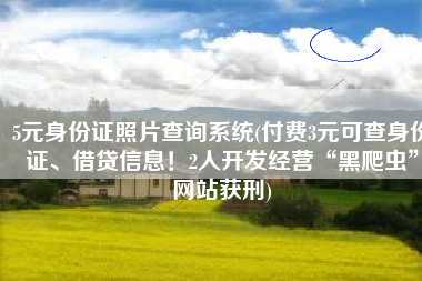 5元身份证照片查询系统(付费3元可查身份证、借贷信息！2人开发经营“黑爬虫”网站获刑)