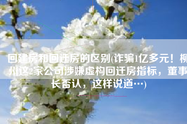 回建房和回迁房的区别(诈骗1亿多元！柳州这2家公司涉嫌虚构回迁房指标，董事长否认，这样说道…)