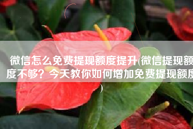 微信怎么免费提现额度提升(微信提现额度不够？今天教你如何增加免费提现额度)