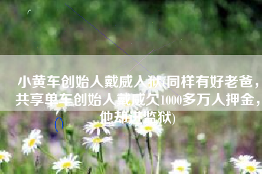 小黄车创始人戴威入狱(同样有好老爸，共享单车创始人戴威欠1000多万人押金，他却进监狱)