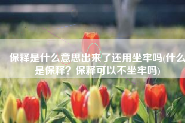 保释是什么意思出来了还用坐牢吗(什么是保释？保释可以不坐牢吗)