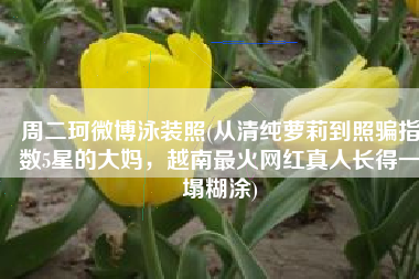 周二珂微博泳装照(从清纯萝莉到照骗指数5星的大妈，越南最火网红真人长得一塌糊涂)