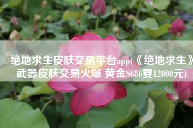 绝地求生皮肤交易平台app(《绝地求生》武器皮肤交易火爆 黄金S686要12000元)