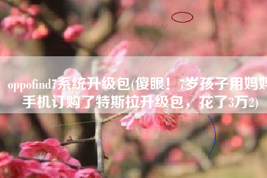 oppofind7系统升级包(傻眼！7岁孩子用妈妈手机订购了特斯拉升级包，花了3万2)