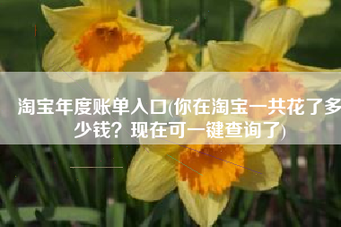 淘宝年度账单入口(你在淘宝一共花了多少钱？现在可一键查询了)