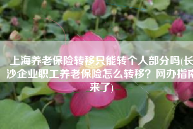 上海养老保险转移只能转个人部分吗(长沙企业职工养老保险怎么转移？网办指南来了)