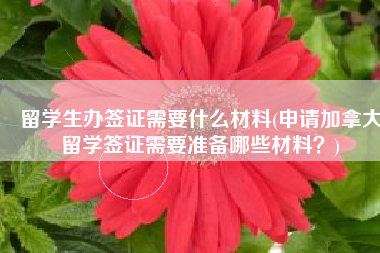 留学生办签证需要什么材料(申请加拿大留学签证需要准备哪些材料？)