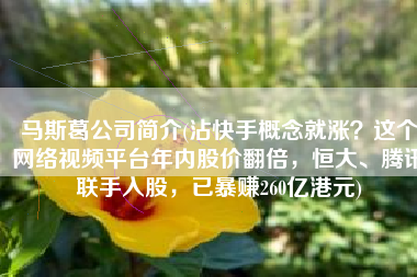 马斯葛公司简介(沾快手概念就涨？这个网络视频平台年内股价翻倍，恒大、腾讯联手入股，已暴赚260亿港元)