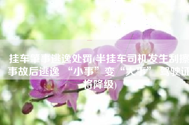 挂车肇事逃逸处罚(半挂车司机发生刮擦事故后逃逸 “小事”变“大事” 驾驶证将降级)